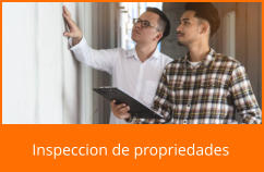 Inspeccion de propriedades