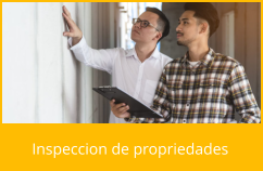 Inspeccion de propriedades